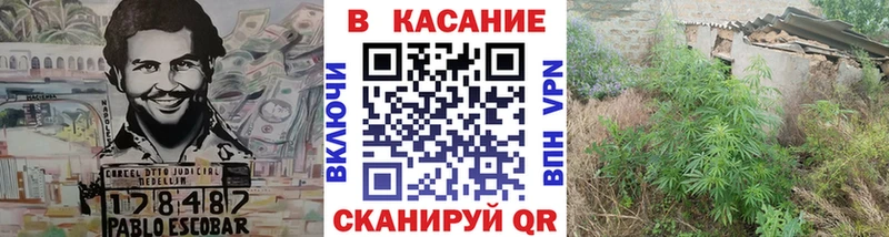 Где купить Дятьково Кокаин блэк спрут вход Канабис Меф Лсд 25