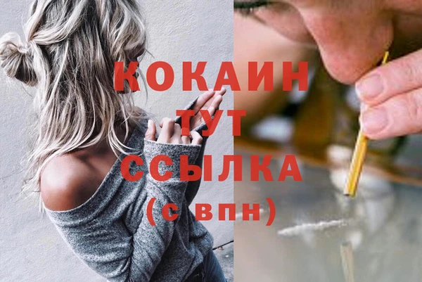 мяу мяу кристалл Богданович