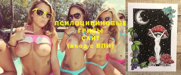 а пвп мука Верхний Тагил