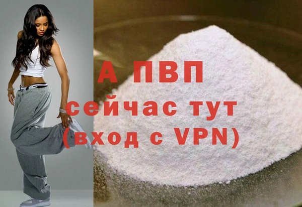 эйфоретик Бородино
