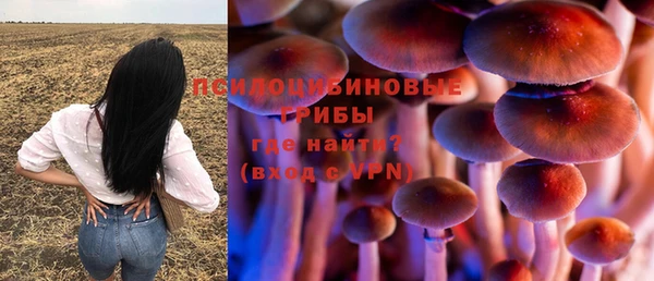 винт Бугульма