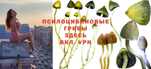 амф Верхнеуральск