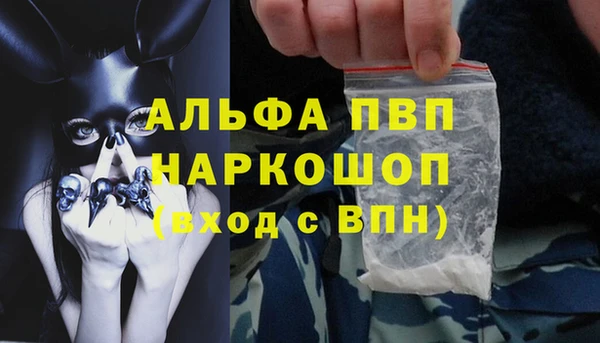 гашик Володарск