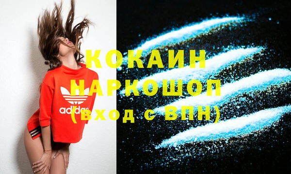 эйфоретик Бородино