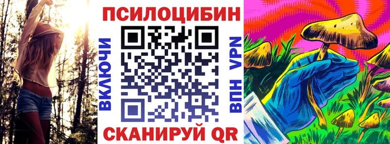 Галлюциногенные грибы Psilocybine cubensis  гидра зеркало  Дятьково 